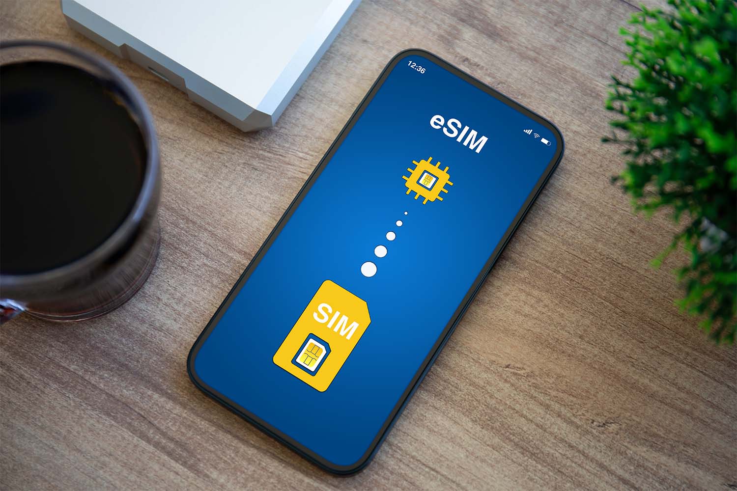 Mobile phone showing eSIM graphics