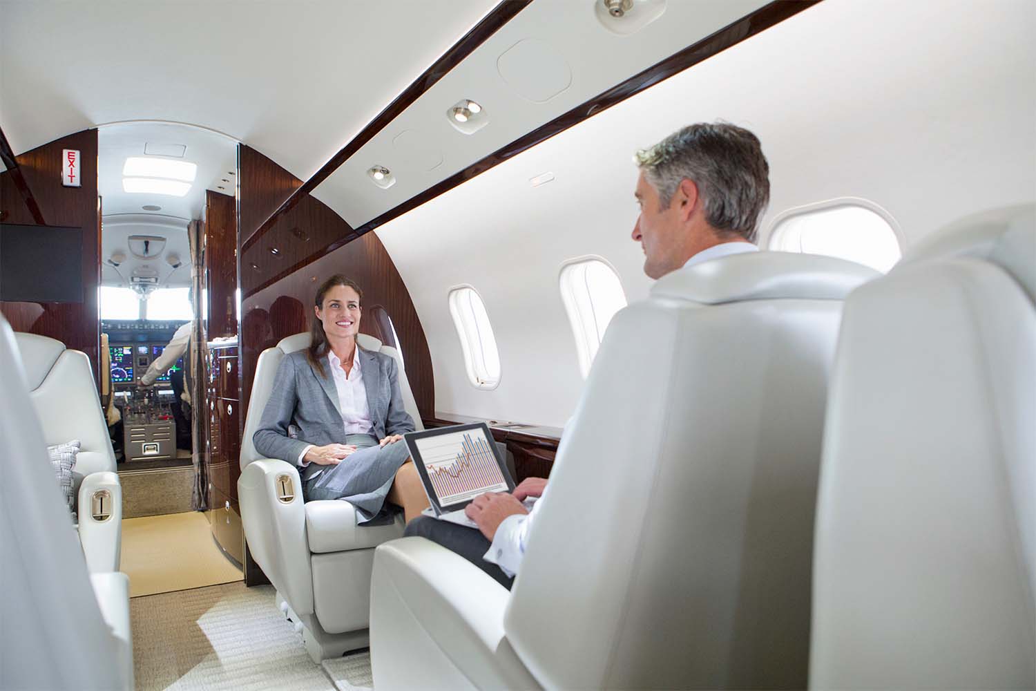 Business people on a private plane working